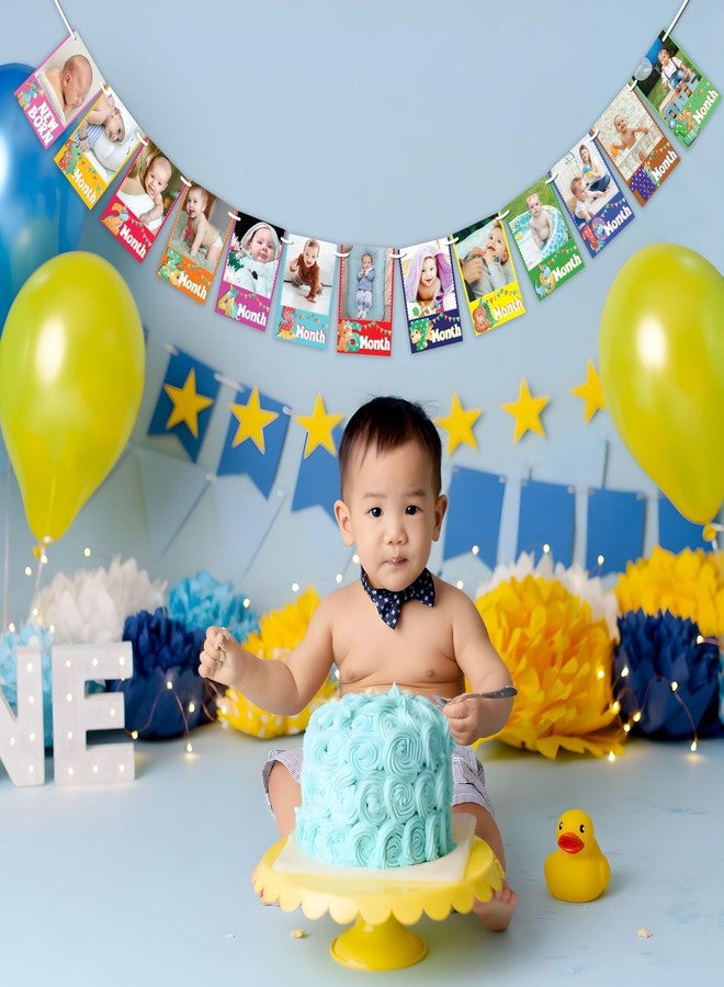 WOBBOX Photo Banner Dino Theme 1 to 12 Month Banner, Photo Banners for First Birthday, Photo Banner New Born to 12 Months - Image 5